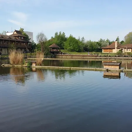 Svet