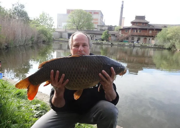 Resort Svet 3* Uzice